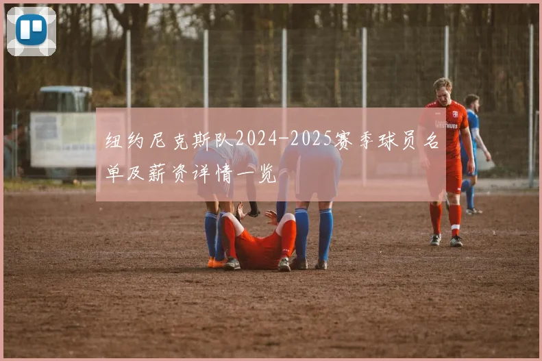 纽约尼克斯队2024-2025赛季球员名单及薪资详情一览