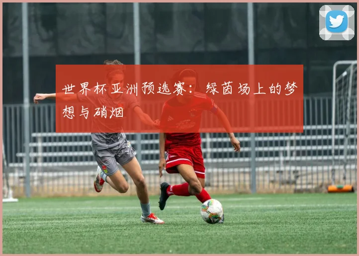 世界杯亚洲预选赛：绿茵场上的梦想与硝烟