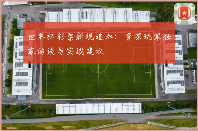 世界杯彩票新规追加：资深玩家独家访谈与实战建议