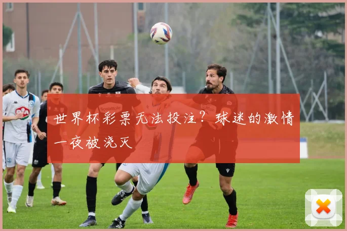 世界杯彩票无法投注？球迷的激情一夜被浇灭